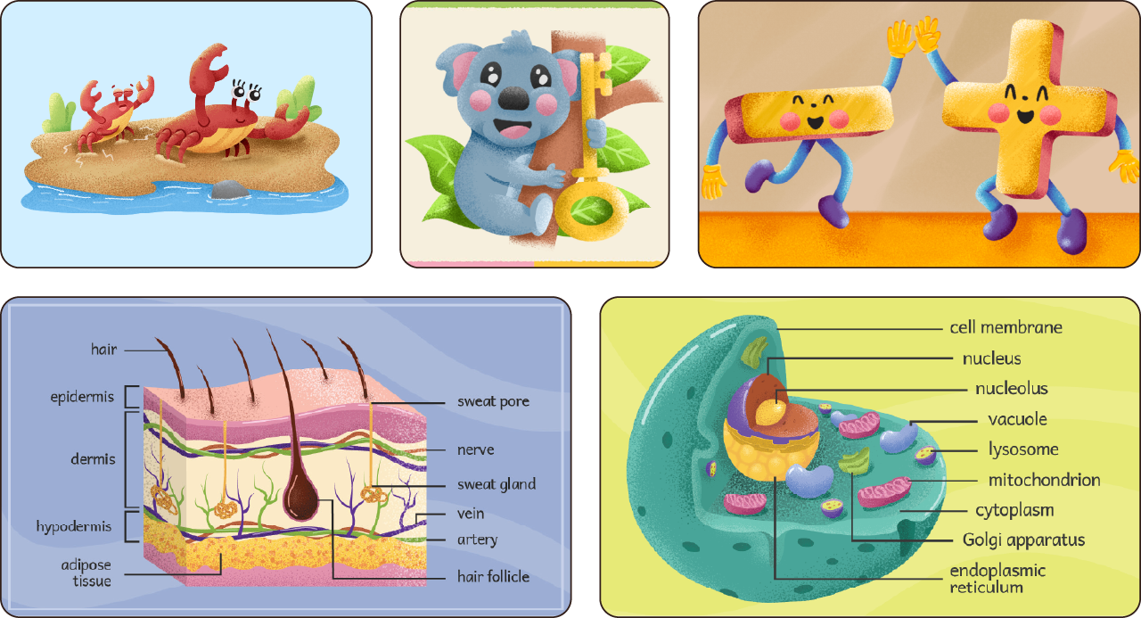 A collection of digital illustrations.